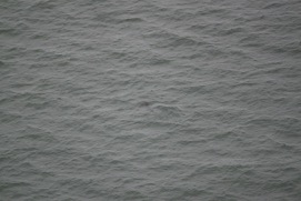 Missing Picture